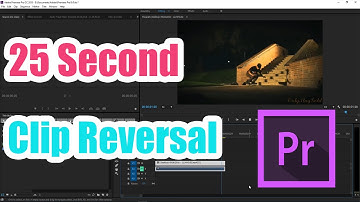 How to Reverse a Clip in Premiere Pro (Fast Tutorial)