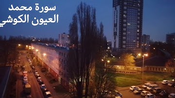 سورة محمد بصوت الشيخ العيون الكوشي Surah muhammad elyoun elkouchi
