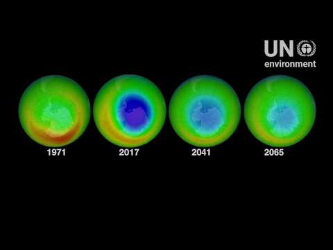 World Ozone Day 2019 - 32 years and healing