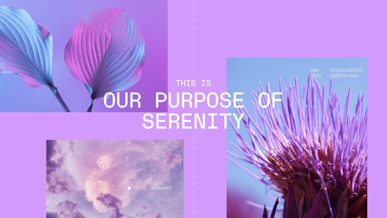 Ledger 프레스 키트 | Ledger