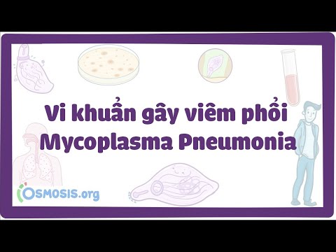 Video: Pneumonic có phải là một từ không?