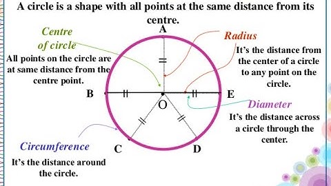 Everything About Math Antics - Circles, Circumference And Area #Tricks