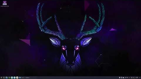 Salient OS Plasma - Dolphin as Root