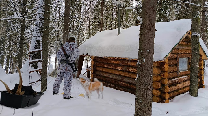 ЖИЗНЬ В ТАЙГЕ, ДОБЫЛ ЛОСЯ С ПОДХОДА, ВАРЮ ИЗ НЕГО ПЕЛЬМЕНИ В ИЗБЕ!