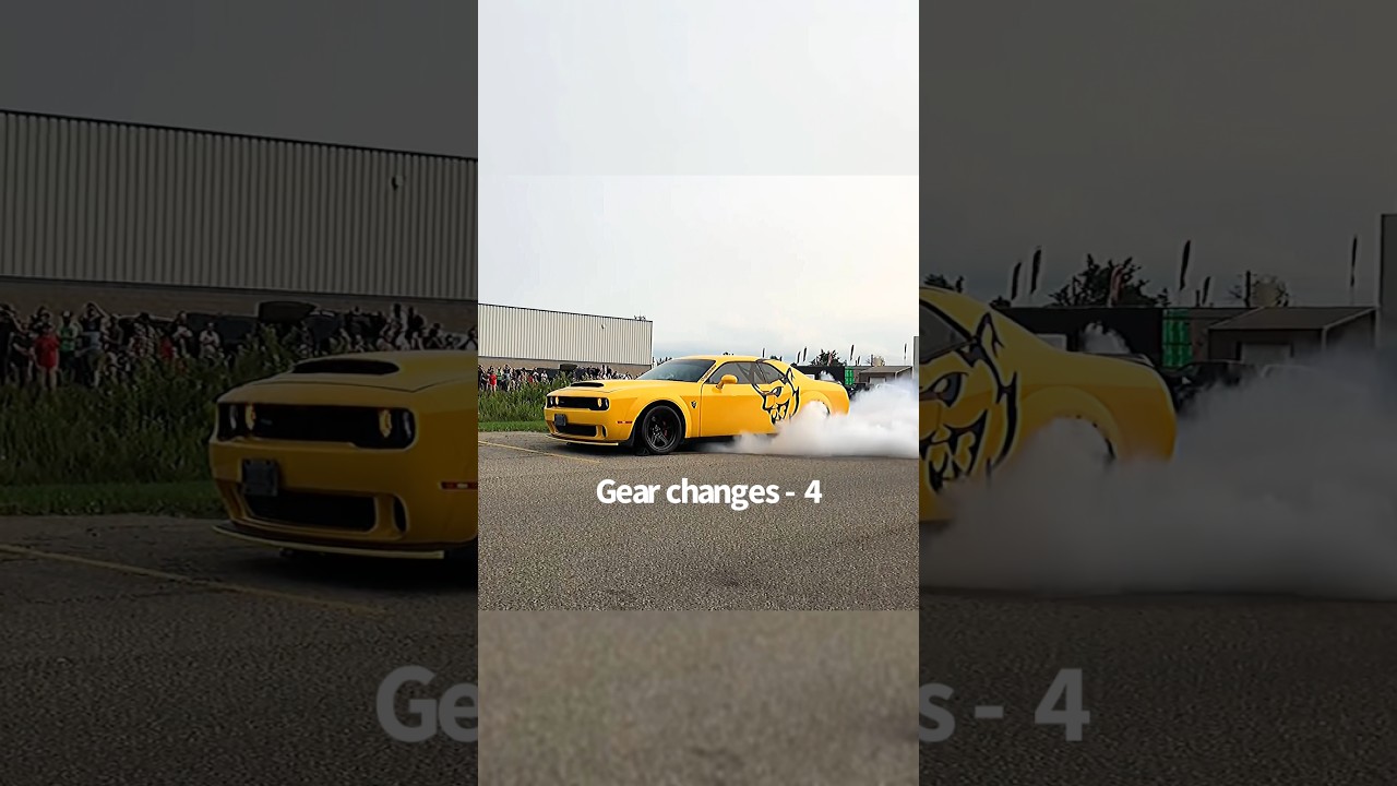 SPECTATOR Humiliated by HELLCAT 💀//
