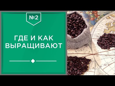 Видео: Где выращивают арабику?