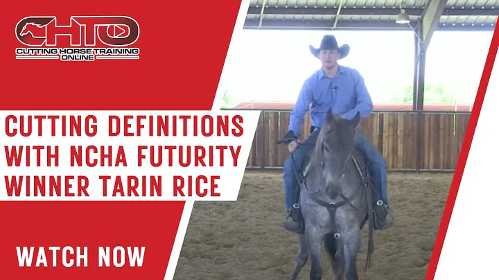 Cutting Definitions With NCHA Futurity Winner Tari...