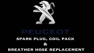 Puegeot 206/206 CC Spark Plug &amp; Coil Pack Replacement