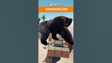 NEW CS2 C4 SKINS #shorts