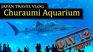 Okinawa Churaumi Aquarium    Largest Aquarium in Japan!