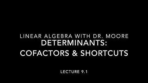 Lecture 9 part 1   Determinants and cofactors