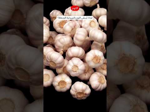 لماذا ي سم ى الثوم بالصيدلية المتنقلة