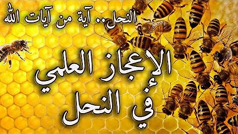 النحل آية من آيات الله تعالى