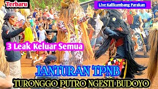 Janturan TPNB || TURONGGO PUTRO NGESTI BUDOYO || Live Kalikumbang Parakan