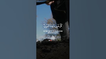 كل نفس ذائقة الموت 💔 تلاوة خاشعة مؤثرة 🥹