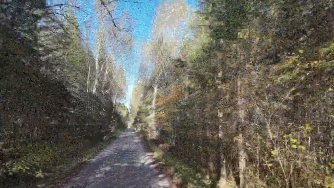 Honeymoon Trail - North Shore MN