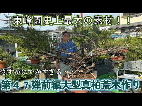 明治期 象山造 欅製 荒彫り大型葉盆 煎茶盆 刳り貫盆★美しい木目★長さ58cm 明治期 象山造 欅製 荒彫り大型葉盆 煎茶盆 刳り貫盆☆美しい