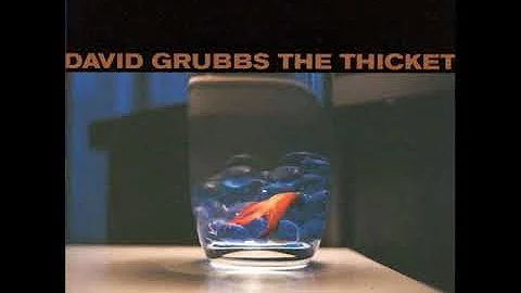 David Grubbs - The Thicket (1998) - FULL ALBUM