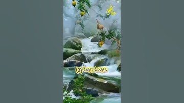 أهوال يوم القيامة - سورة الواقعة - القارئ أنس عصام