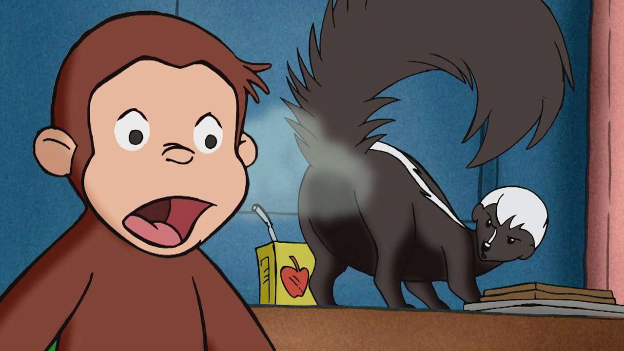 夜行性動物って何？ 🐵 おさるのジョージ