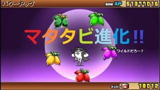 にゃんこ大戦争 なんと古代種を停止！ マタタビ進化！ネコ番長第三形態で押忍！