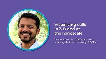 Introduction to focused ion beam scanning electron microscopy (FIB-SEM)