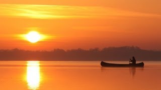 The Secret Life of the Shannon | RTÉ Goes Wild