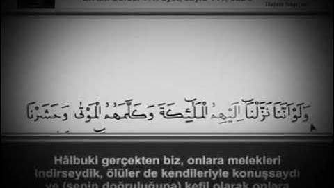 الجزء الثامن كاملا ،القارئ الشيخ عبد الرحمن العوسي ،تجويد ،ختمة الأجزاء ،القرآن الكريم كاملا أجزاء
