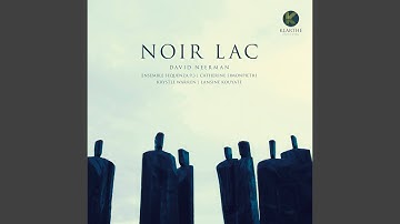 A House with No Mirror (feat. Krystle Warren, Lansiné Kouyaté)