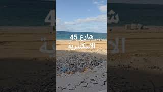 شارع 45 الاسكندرية