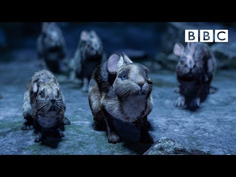 Watership Down's brave rabbits make a daring escape - BBC