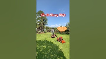 Cắt cỏ nhung nhật, máy cắt cỏ nhung nhật, máy cắt cỏ nhung nhật, cât cỏ sân bong, cắt cỏ sân golf