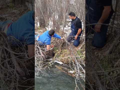 Video: Kışın Dengeleyicide Nasıl Balık Tutulur