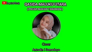 Qasida (Pagar Makan Tanaman) Cover Amirudin I Somadayo✅️