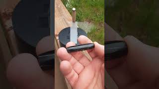 Japanese maple pen and Buffalo horn blank