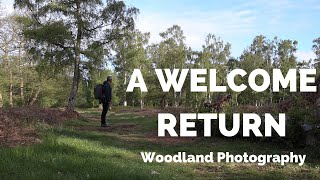 A Welcome Return : Woodland Photography