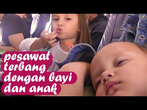 VIDEO : bayi di pesawat - tips membawa bayi dan balita naik pesawat -  ...