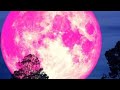 الأحجار الكريمة و ظاهرة القمر الوردي استغلوا الفرصة الأحجار الكريمة و ظاهرة القمر الوردي استغلوا الفرصة