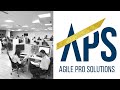 Agile pro solutions   the company you really want to work for