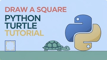 Drawing a Basic Square Using Turtle in Python – Beginner