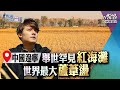 廖科溢《秘境不思溢 第二季》中國遼寧：世界聞名紅海灘和蘆葦盪 稻蟹共生的經濟奇蹟