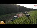 full version Cornharvest 2023 Van Rulo Claas jaguar 950  750 orbis  John Deere fendt   dronefootage