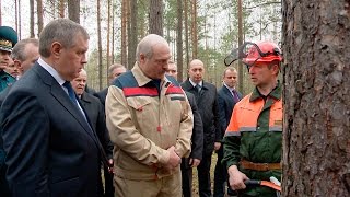 Лукашенко: сельское хозяйство и лесные угодья - наш огромный ресурс, который мы должны использовать