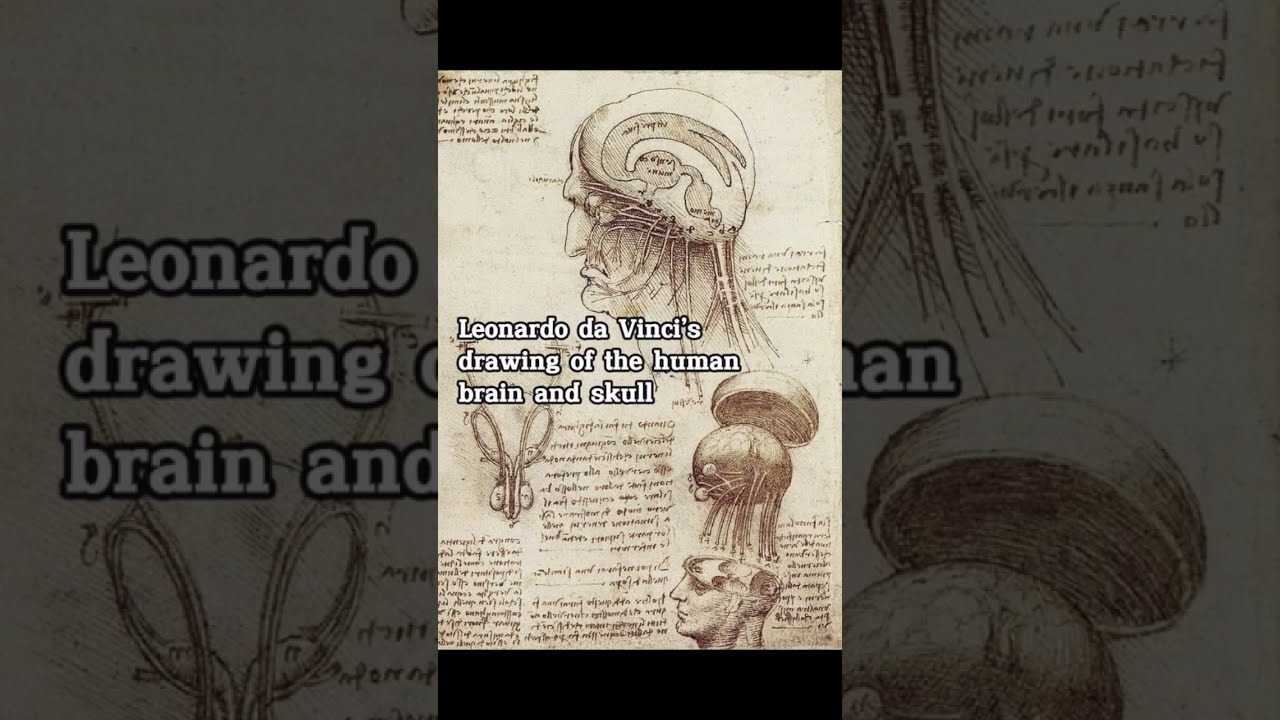 How Can One Be So Intelligent Leonardo Da Vinci History Art Leonardodavinci
