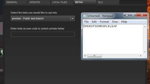 Tutorial : How To Update Unturned From 2.2.5 To the Newest Version