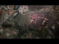 Double lung hog pumping &amp; 6 year old Kills Big Boar with Night Vision!
