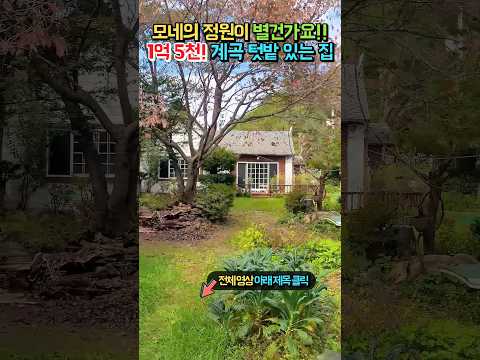<strong>모네의</strong> 정원 같은 집!! 계곡 텃밭 이쁜 실내까지!! 가성비 최고 전원주택 매매 급매물 #shorts