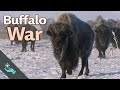 The War to Save the Buffalo | Indian Removal Bonus