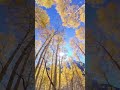 💛🧡Walking into a Fall Wonderland. 🧡💛