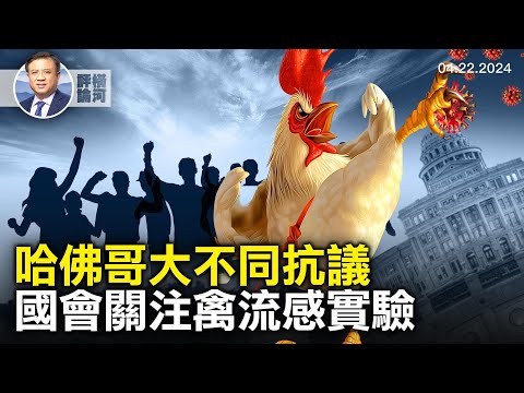 谢峰哈佛演讲遭抗议，起底小粉红，哥大帐篷抗议继续，校方两头受气，18名国会议员关注禽流感实验。